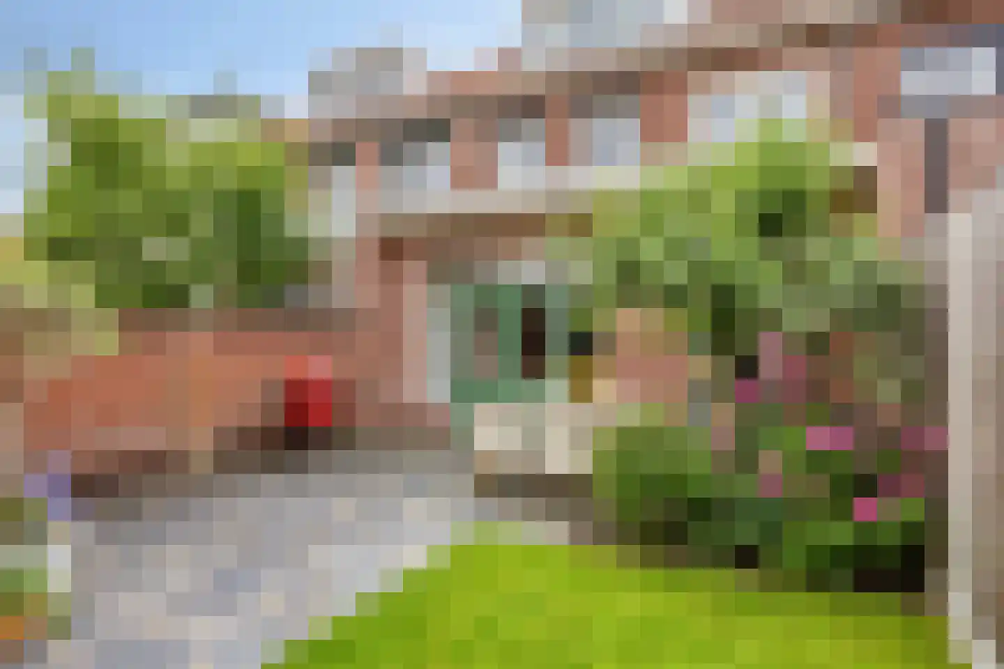 Koraalstraat 6 Breda thumbnail 51