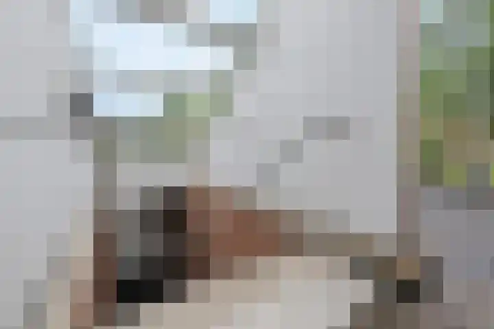 Koraalzee 1 Amersfoort thumbnail 11