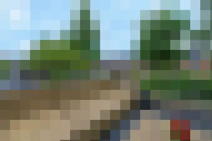 Koraalzee 1 Amersfoort thumbnail 12