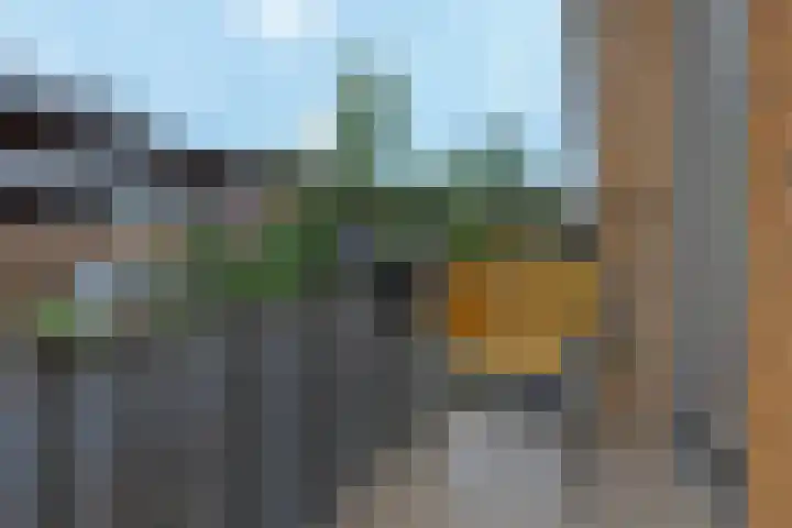 Koraalzee 1 Amersfoort thumbnail 14