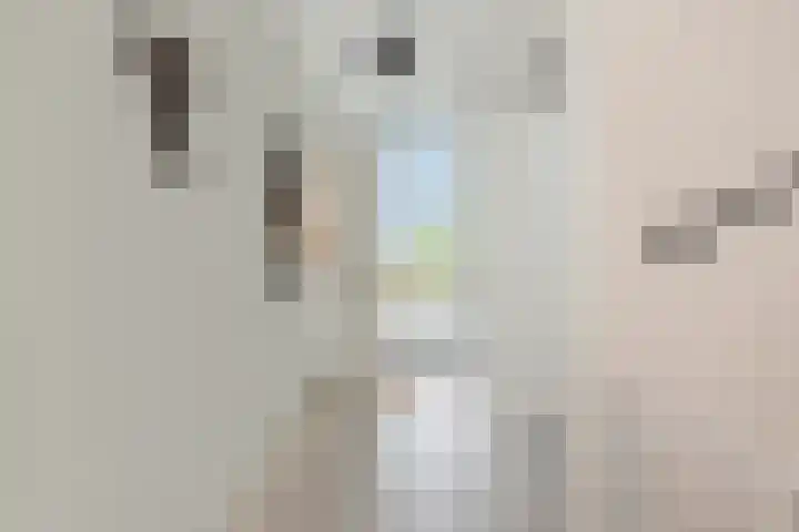 Koraalzee 1 Amersfoort thumbnail 15