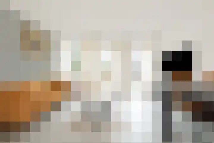 Koraalzee 1 Amersfoort thumbnail 17