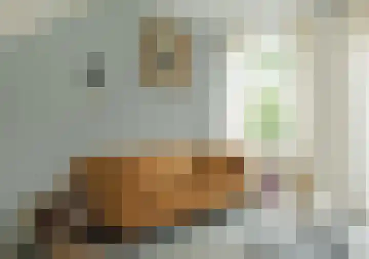 Koraalzee 1 Amersfoort thumbnail 18
