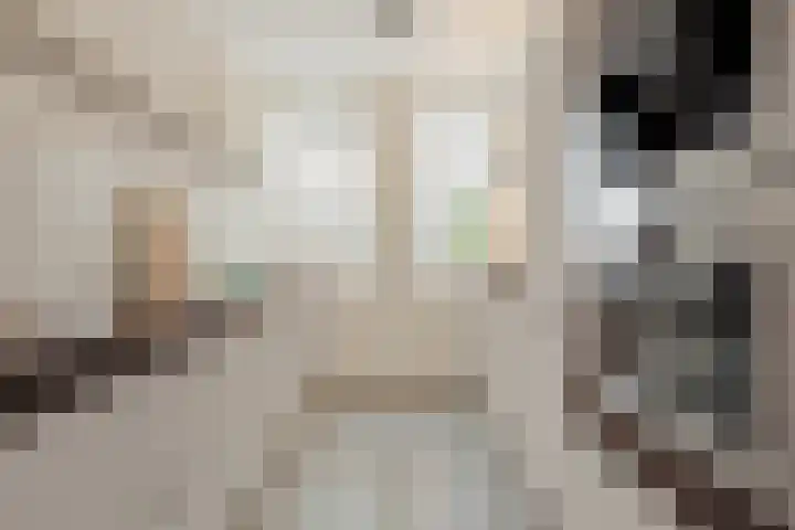 Koraalzee 1 Amersfoort thumbnail 20