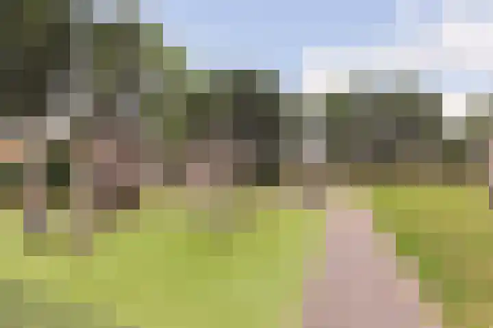 Koraalzee 1 Amersfoort thumbnail 44