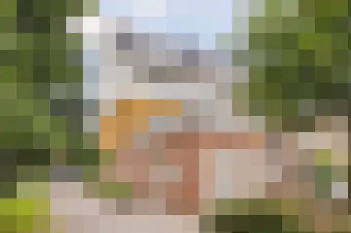 Koraalzee 1 Amersfoort thumbnail 8