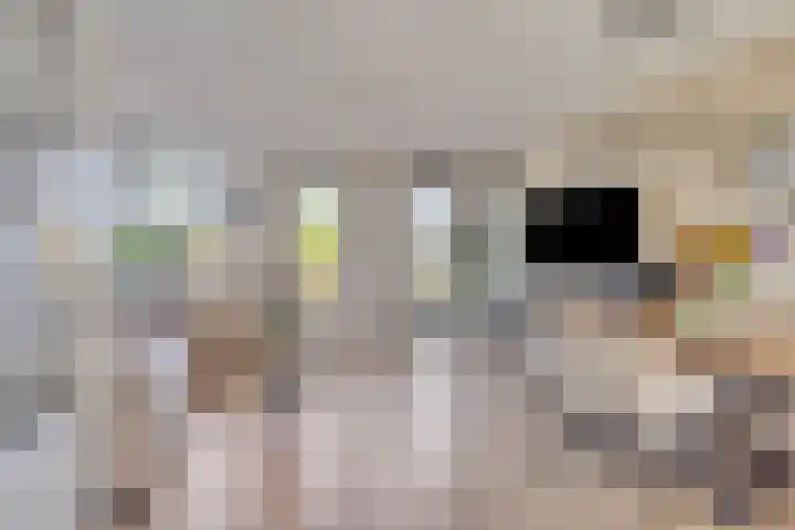 Koraalzee 47 Amersfoort thumbnail 6