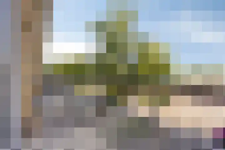Koraalzee 47 Amersfoort thumbnail 8