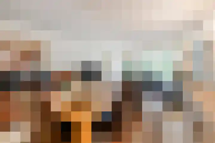 Koraalzwam 107 Alphen aan den Rijn thumbnail 12
