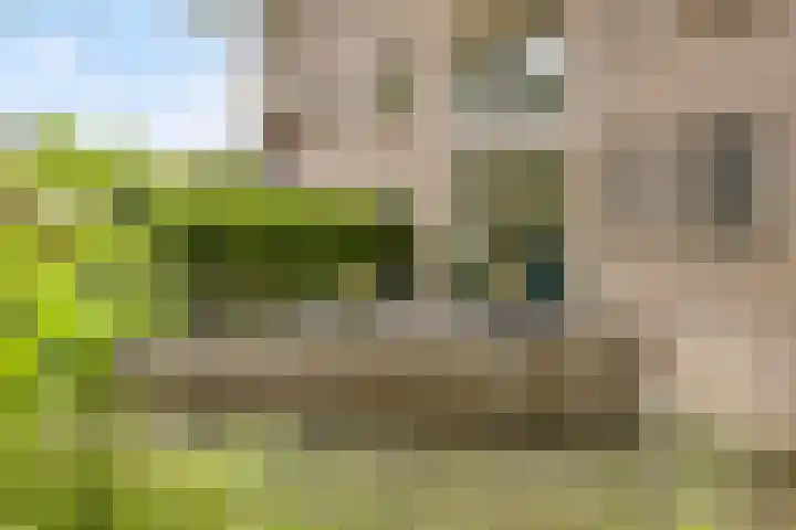 Koraalzwam 107 Alphen aan den Rijn thumbnail 29