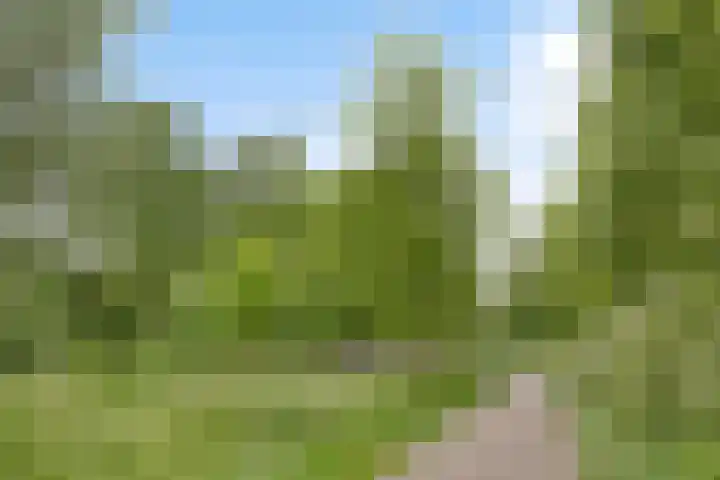 Koraalzwam 107 Alphen aan den Rijn thumbnail 30