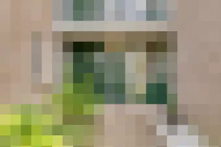 Koraalzwam 107 Alphen aan den Rijn thumbnail 6