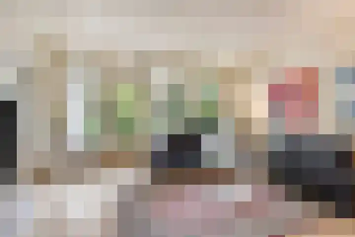 Koraalzwam 107 Alphen aan den Rijn thumbnail 8