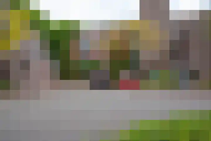 Koraalzwam 119 in Alphen aan den Rijn