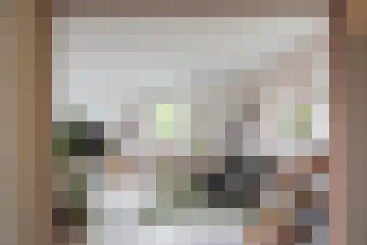 Koraalzwam 119 Alphen aan den Rijn thumbnail 10