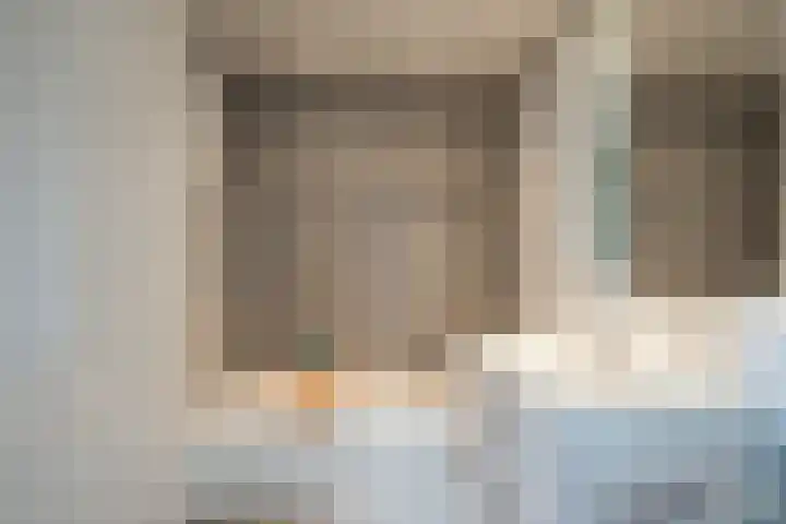 Koraalzwam 119 Alphen aan den Rijn thumbnail 31