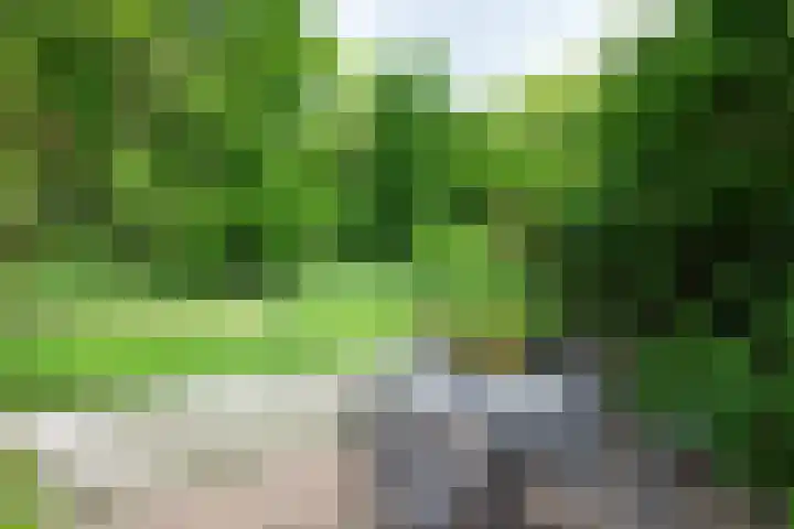 Koraalzwam 119 Alphen aan den Rijn thumbnail 38