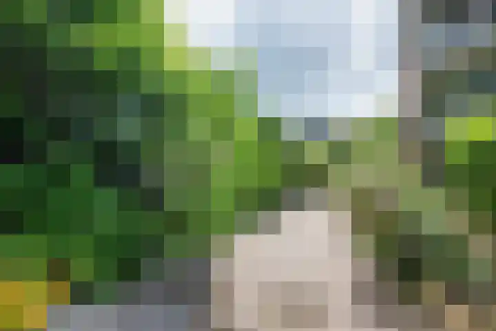 Koraalzwam 119 Alphen aan den Rijn thumbnail 39