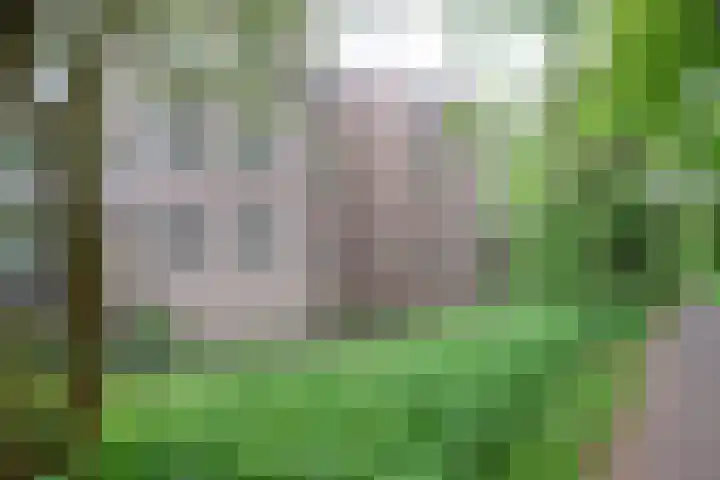 Koraalzwam 119 Alphen aan den Rijn thumbnail 42