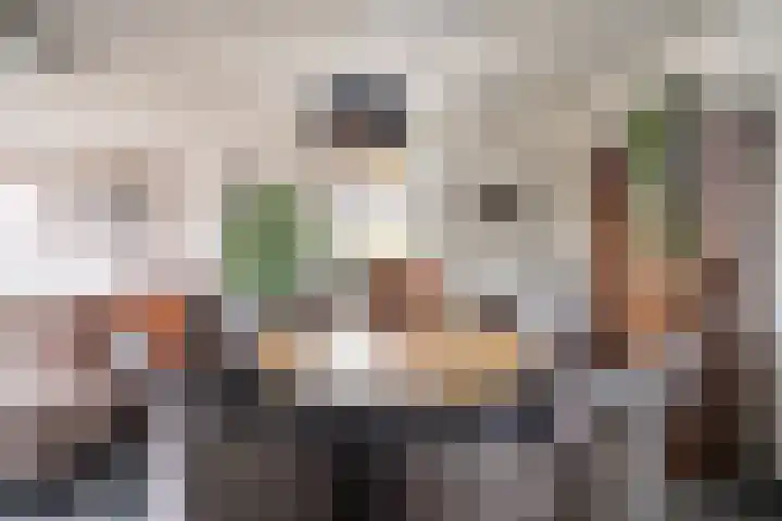 Koraalzwam 125 Alphen aan den Rijn thumbnail 14