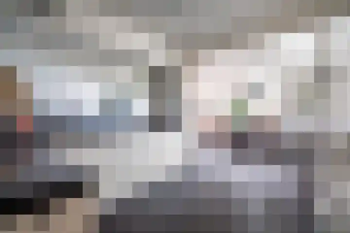 Koraalzwam 125 Alphen aan den Rijn thumbnail 15