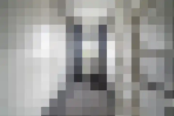 Koraalzwam 125 Alphen aan den Rijn thumbnail 28