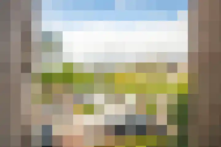 Koraalzwam 125 Alphen aan den Rijn thumbnail 31