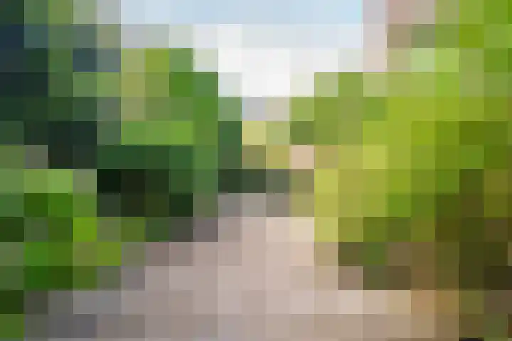 Koraalzwam 125 Alphen aan den Rijn thumbnail 33