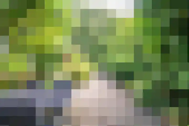 Koraalzwam 125 Alphen aan den Rijn thumbnail 34