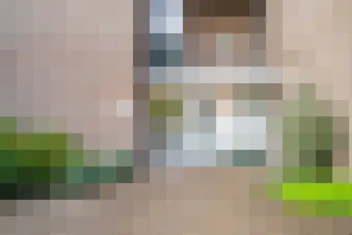 Koraalzwam 125 Alphen aan den Rijn thumbnail 35