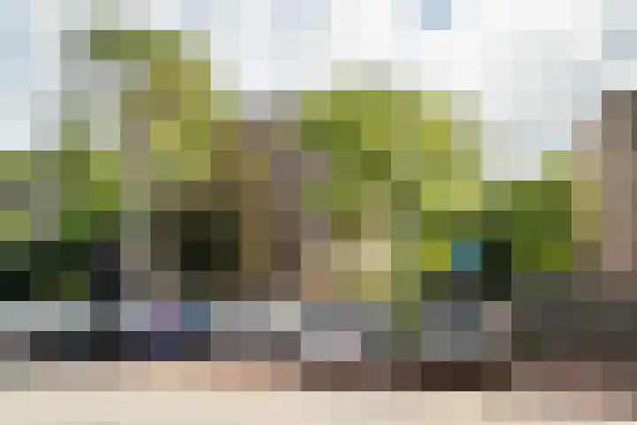 Koraalzwam 125 Alphen aan den Rijn thumbnail 36