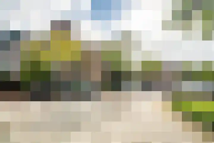 Koraalzwam 125 Alphen aan den Rijn thumbnail 37