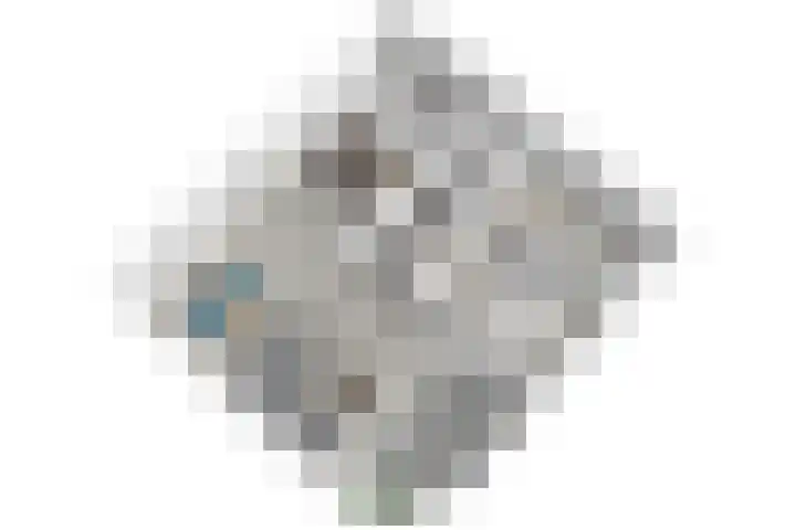 Koraalzwam 125 Alphen aan den Rijn thumbnail 41