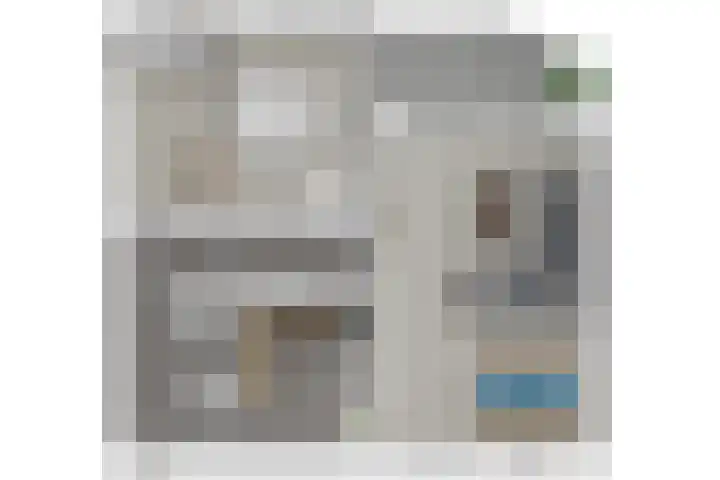 Koraalzwam 125 Alphen aan den Rijn thumbnail 42