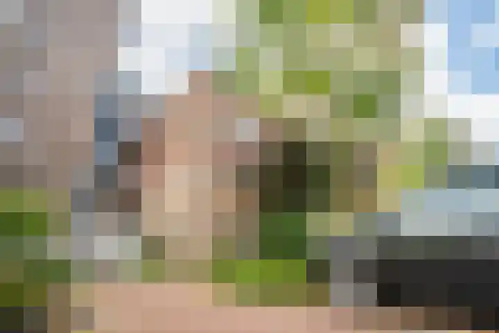 Koraalzwam 125 Alphen aan den Rijn thumbnail 43