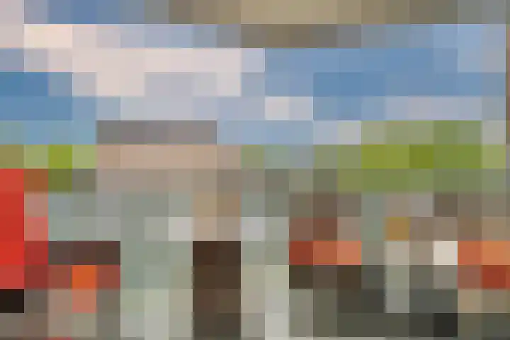 Koraalzwam 125 Alphen aan den Rijn thumbnail 7