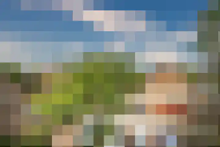 Koraalzwam 125 Alphen aan den Rijn thumbnail 9