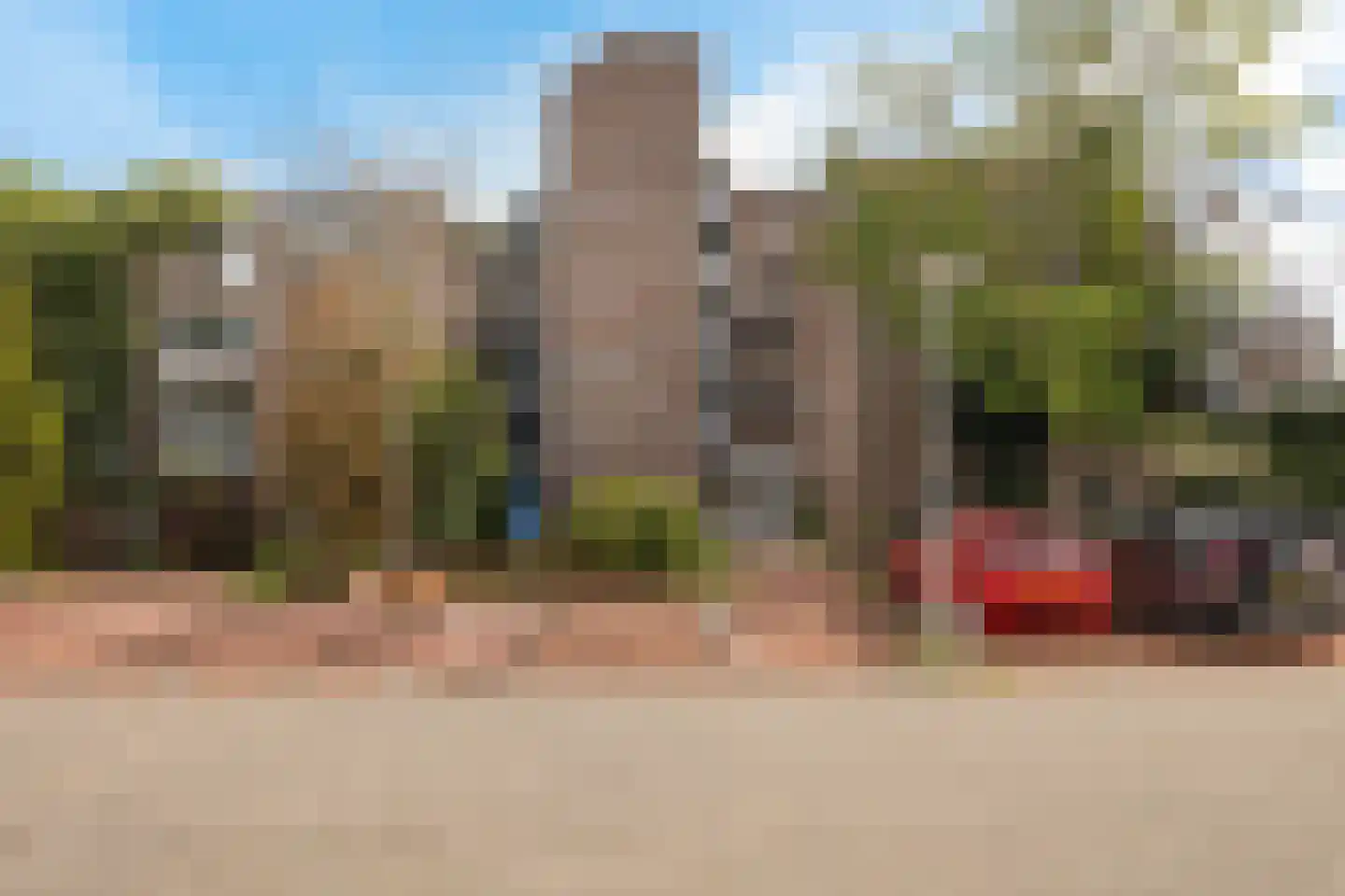 Koraalzwam 137 in Alphen aan den Rijn