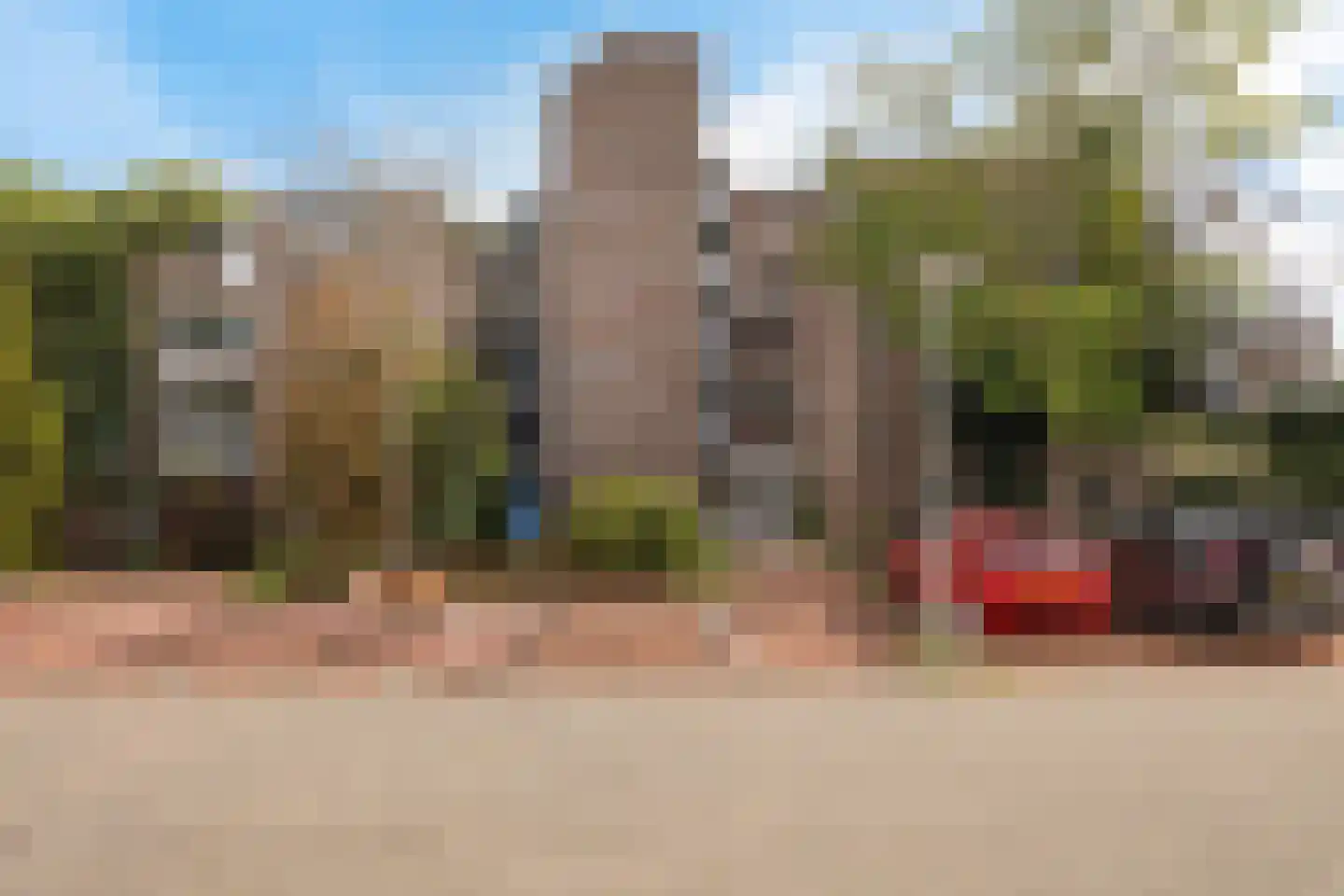 Koraalzwam 137 in Alphen aan den Rijn