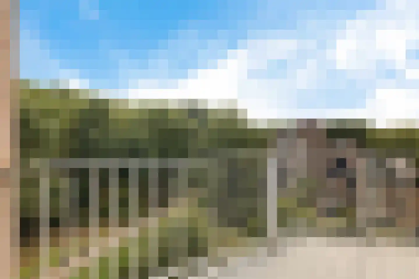 Koraalzwam 137 Alphen aan den Rijn thumbnail 15