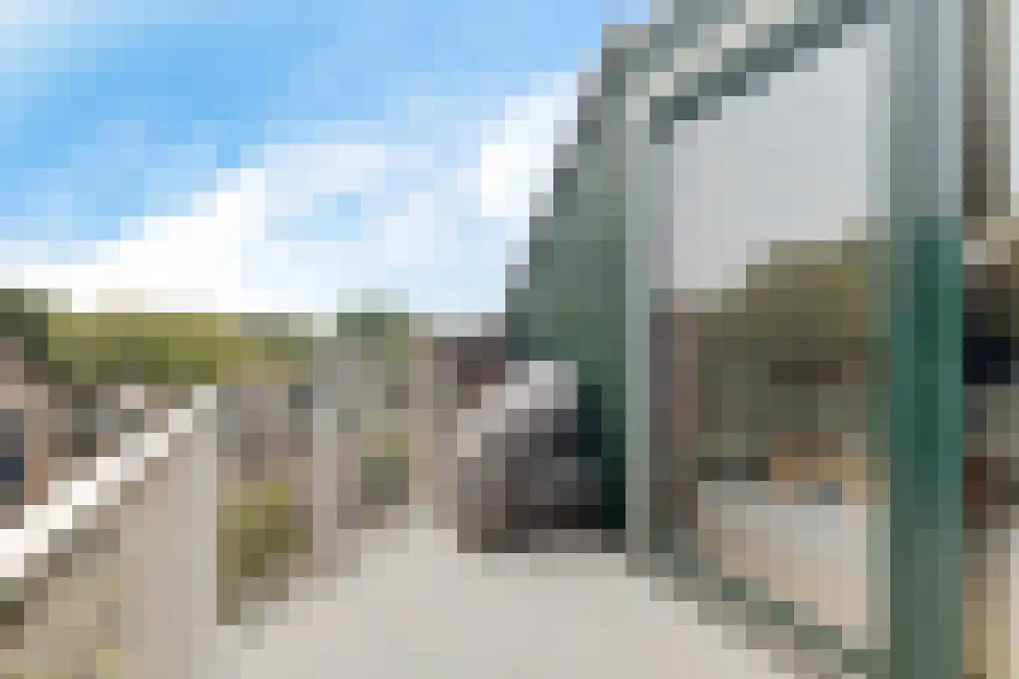 Koraalzwam 137 Alphen aan den Rijn thumbnail 16