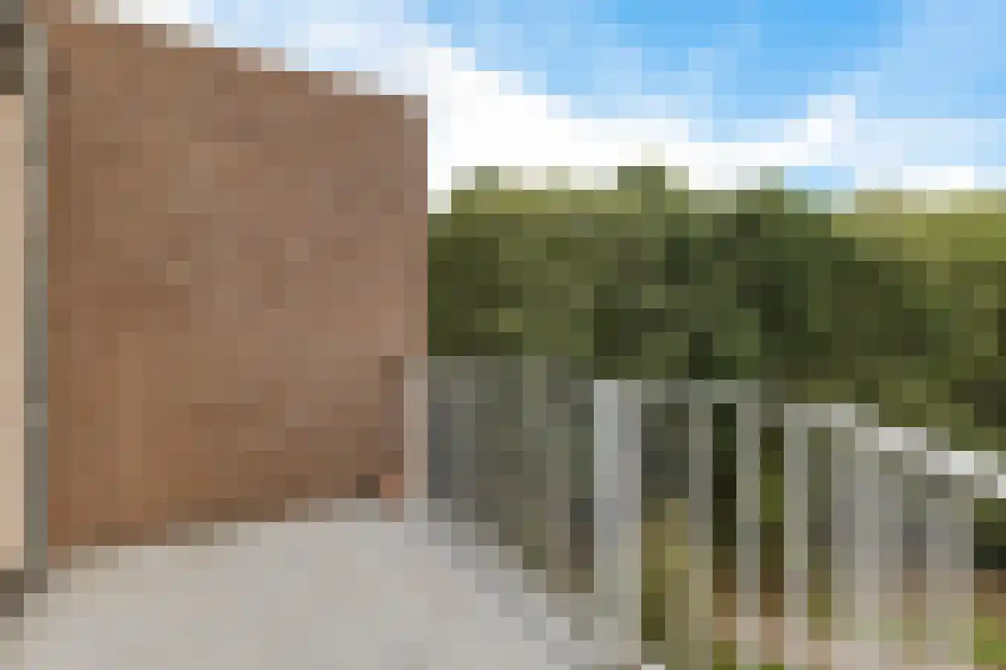 Koraalzwam 137 Alphen aan den Rijn thumbnail 17