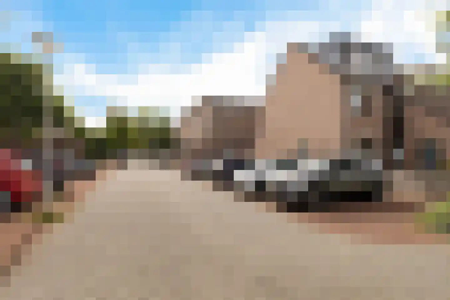 Koraalzwam 137 Alphen aan den Rijn thumbnail 34