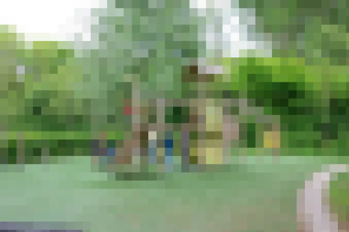 Koraalzwam 137 Alphen aan den Rijn thumbnail 37