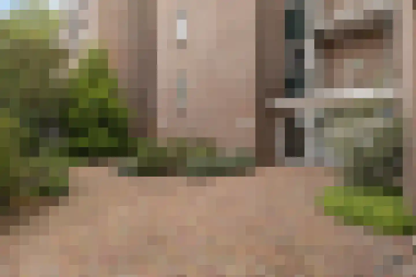 Koraalzwam 137 Alphen aan den Rijn thumbnail 5
