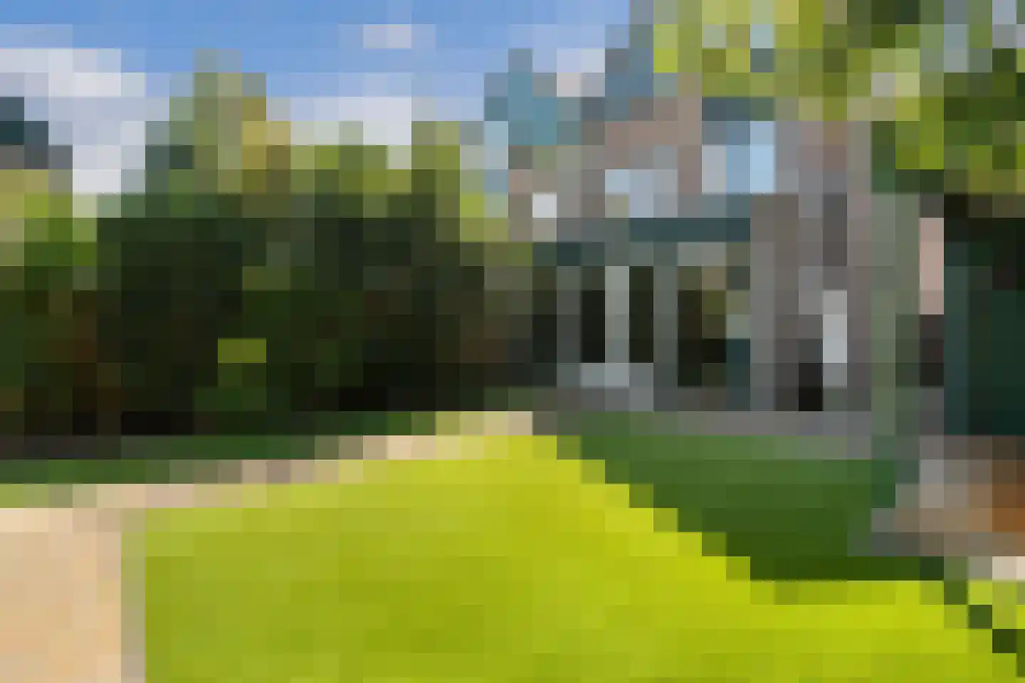 Koraalzwam 139 in Alphen aan den Rijn