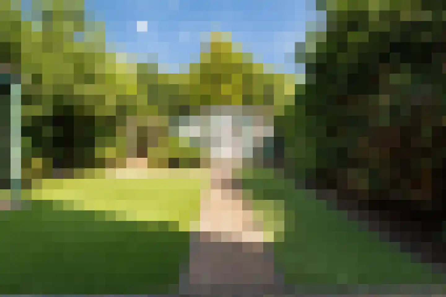 Koraalzwam 139 Alphen aan den Rijn thumbnail 19