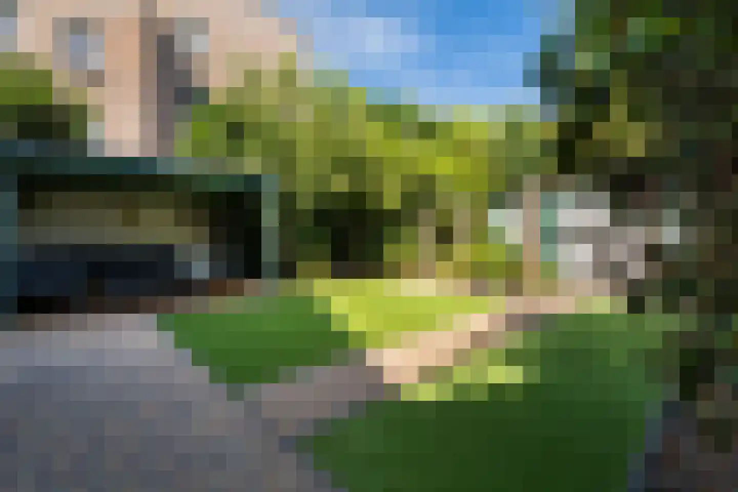 Koraalzwam 139 Alphen aan den Rijn thumbnail 20
