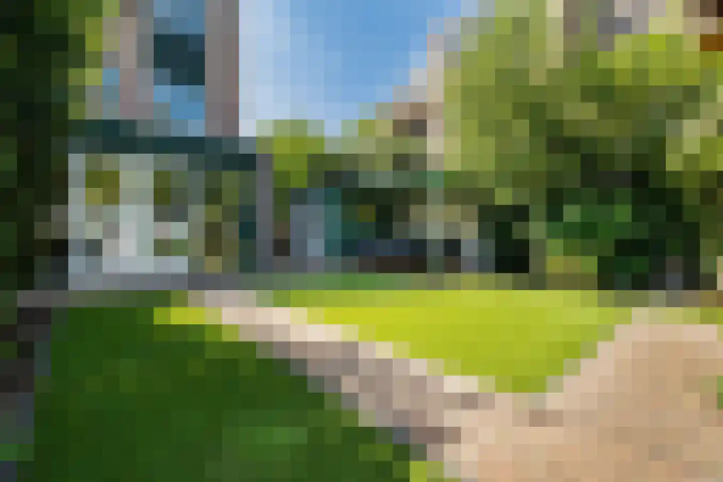 Koraalzwam 139 Alphen aan den Rijn thumbnail 21