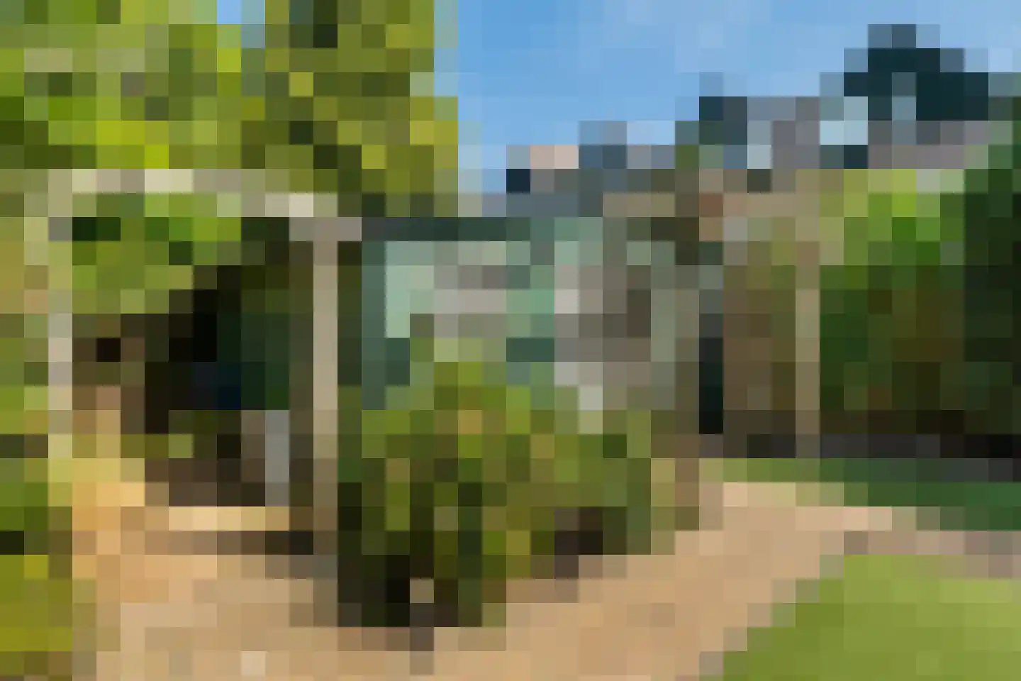 Koraalzwam 139 Alphen aan den Rijn thumbnail 22
